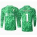 Tanie Strój piłkarski Liverpool Alisson Becker #1 Bramkarskie Koszulka Wyjazdowej 2024-25 Długie Rękawy